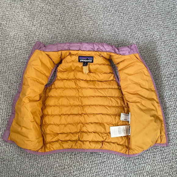 Perfect Patagonia Vest - Picture 2 of 4
